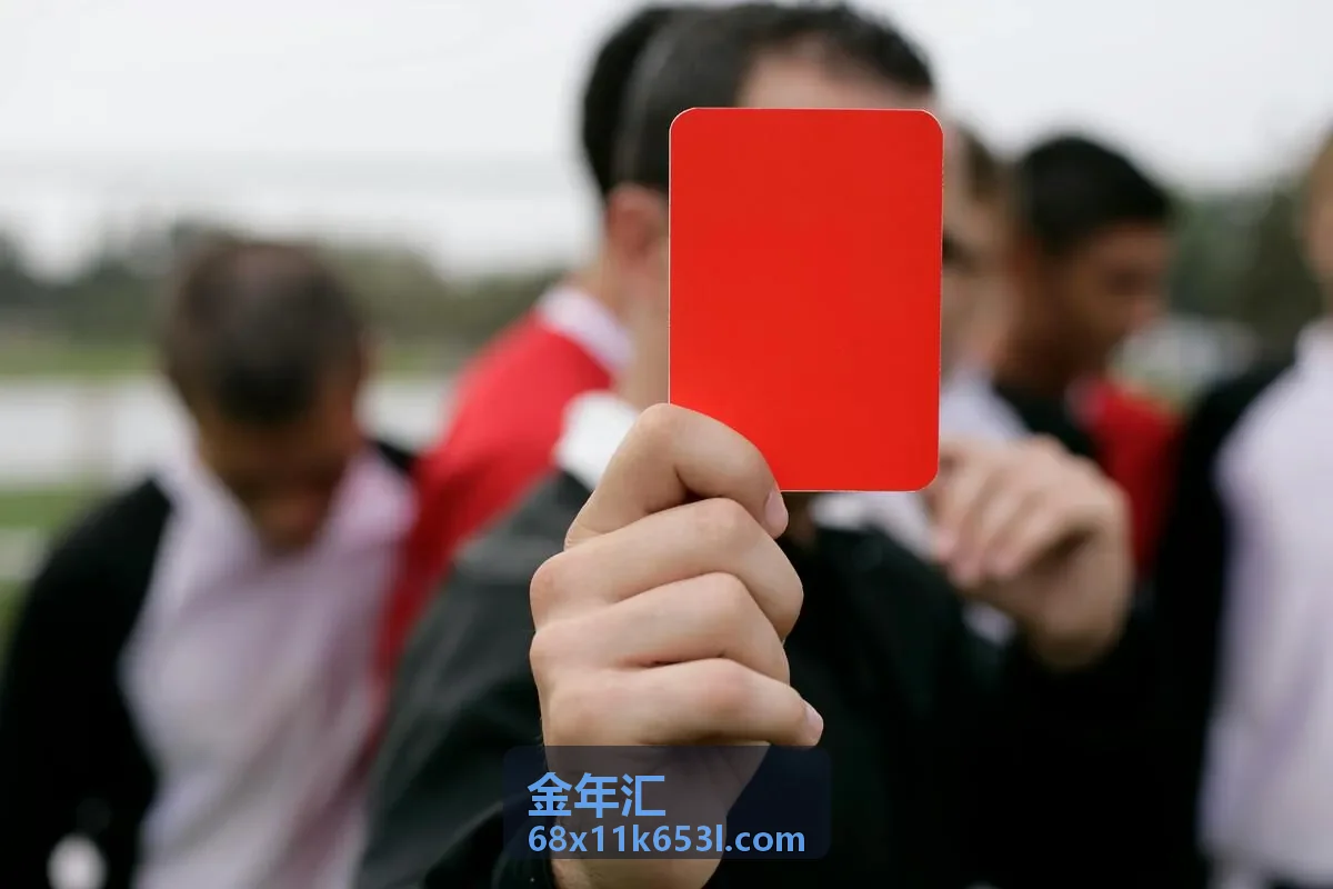 金年汇增长方案案例