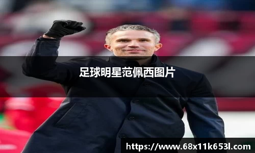 足球明星范佩西图片